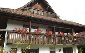 Pension Bergseeblick Titisee-Neustadt